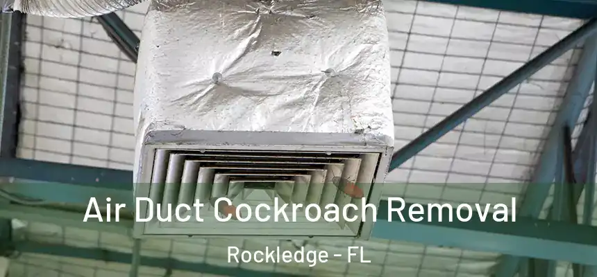 Air Duct Cockroach Removal Rockledge - FL