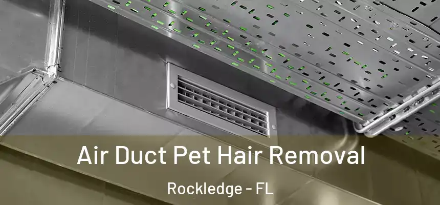 Air Duct Pet Hair Removal Rockledge - FL
