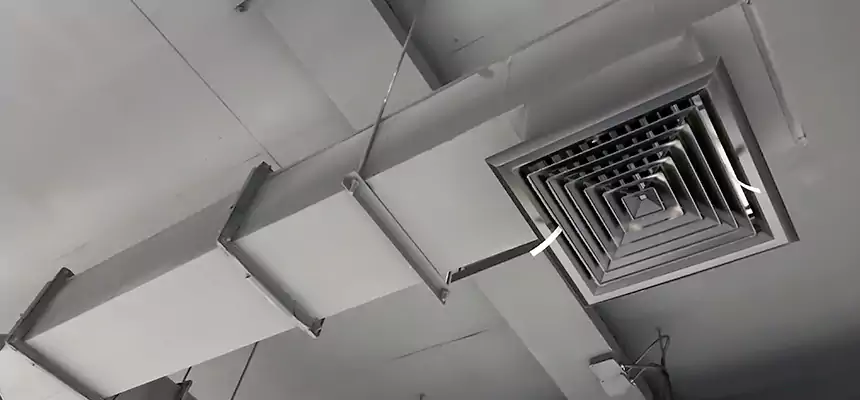 Our Rodent Droppings In Vents Services in Rockledge, FL