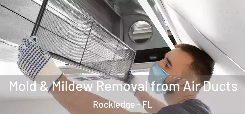 Mold & Mildew Removal from Air Ducts Rockledge - FL