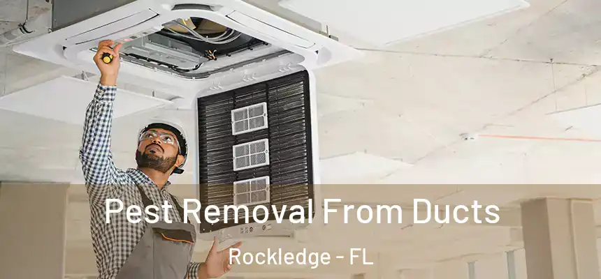 Pest Removal From Ducts Rockledge - FL