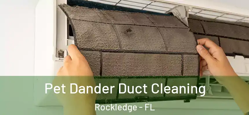 Pet Dander Duct Cleaning Rockledge - FL