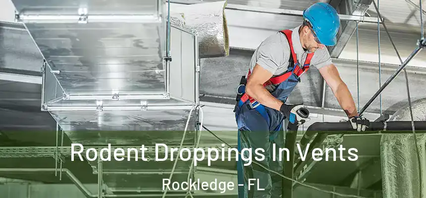 Rodent Droppings In Vents Rockledge - FL