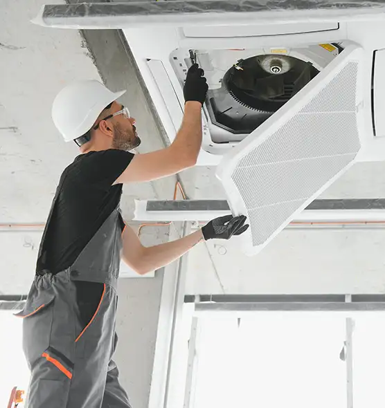 About Air Duct Rodent Removal in Rockledge, FL