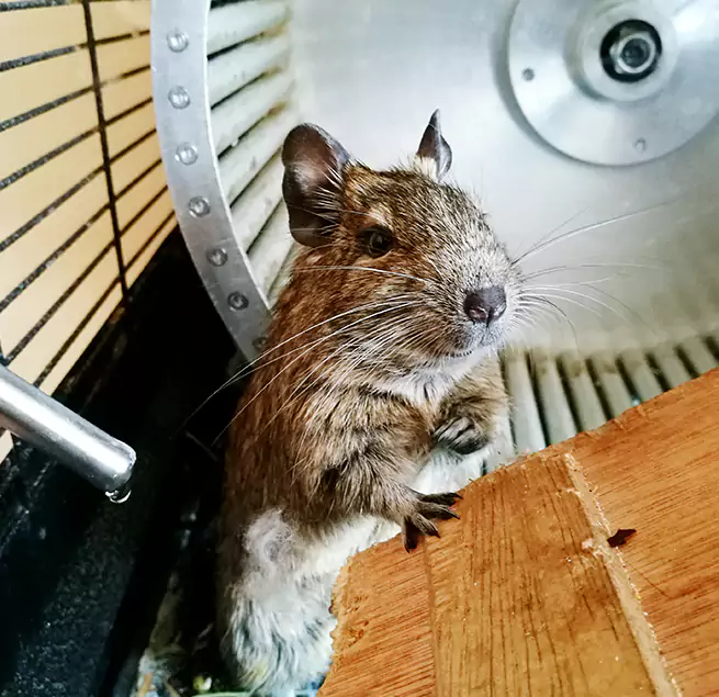 Why Homeowners & Businesses Trust Us Rockledge, FL?