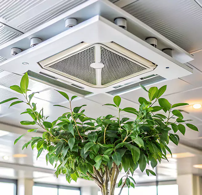 Why Homeowners & Businesses Trust Us in Rockledge, FL?