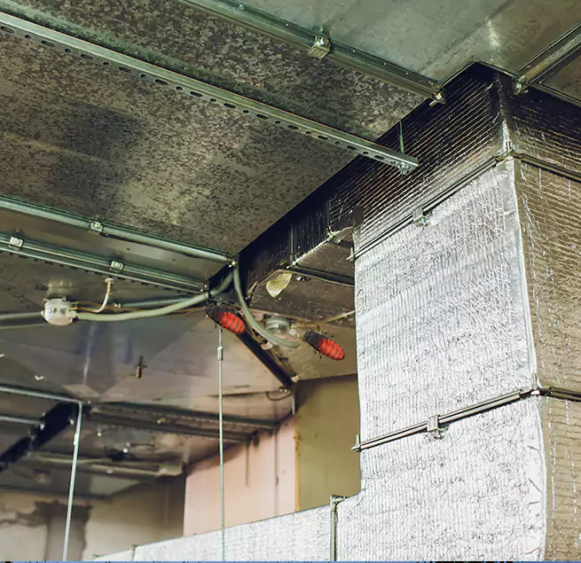 Why Homeowners & Businesses Trust Us Rockledge, FL?